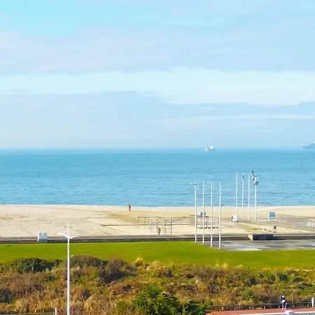 Nice Studio With Sea View In *